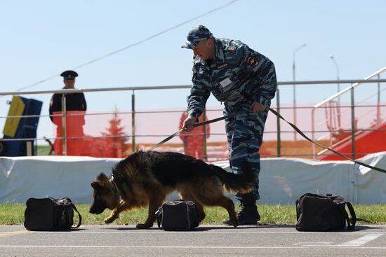 Соревнования кинологов в Белгородской области