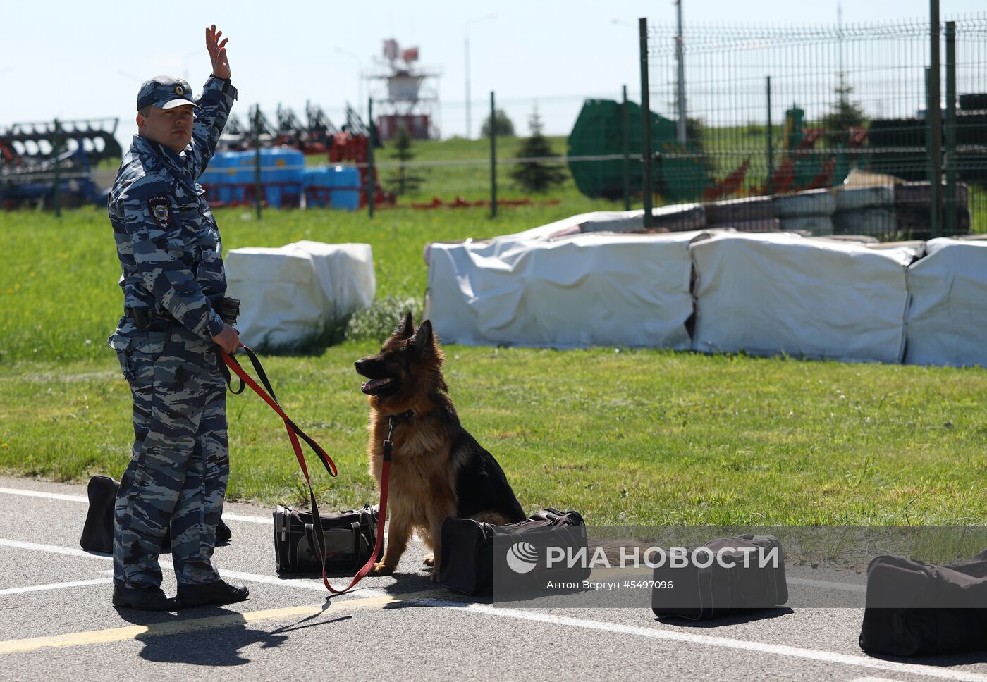 Соревнования кинологов в Белгородской области