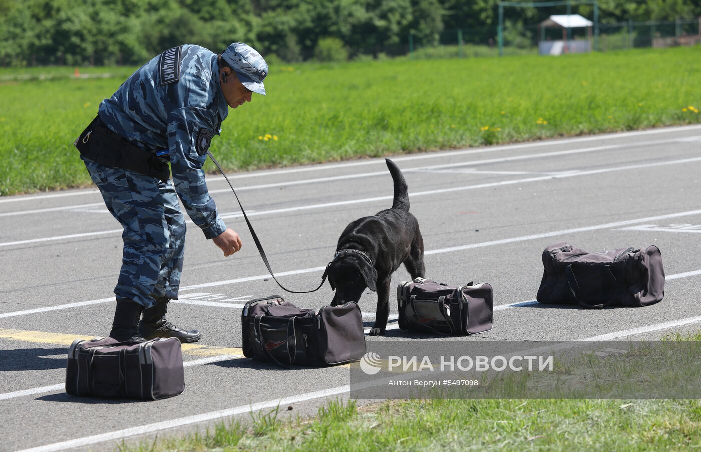 Соревнования кинологов в Белгородской области