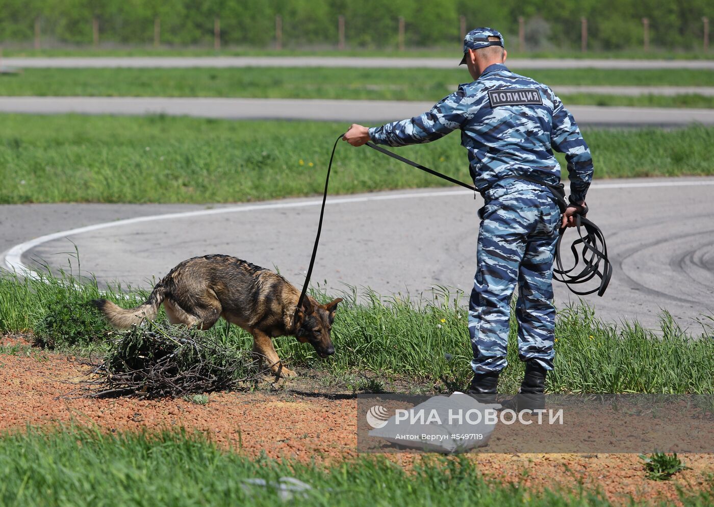 Соревнования кинологов в Белгородской области