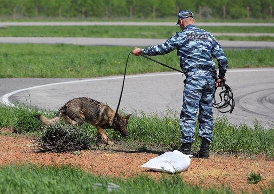 Соревнования кинологов в Белгородской области