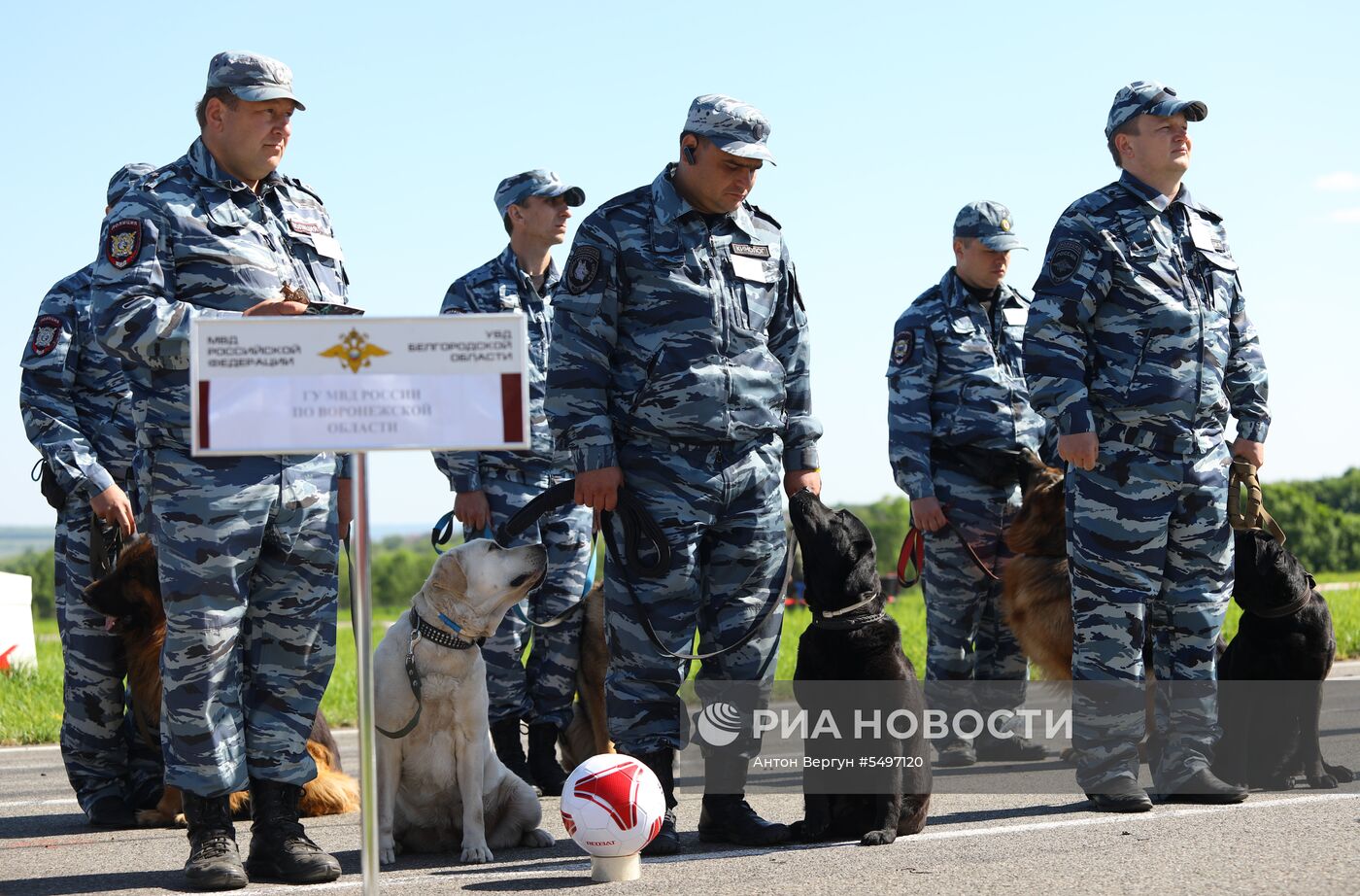 Соревнования кинологов в Белгородской области