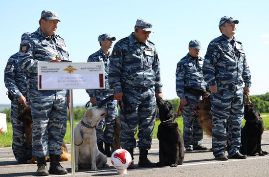 Соревнования кинологов в Белгородской области