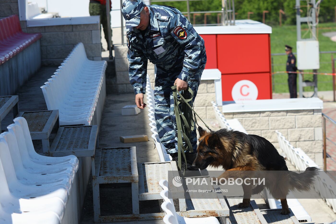 Соревнования кинологов в Белгородской области