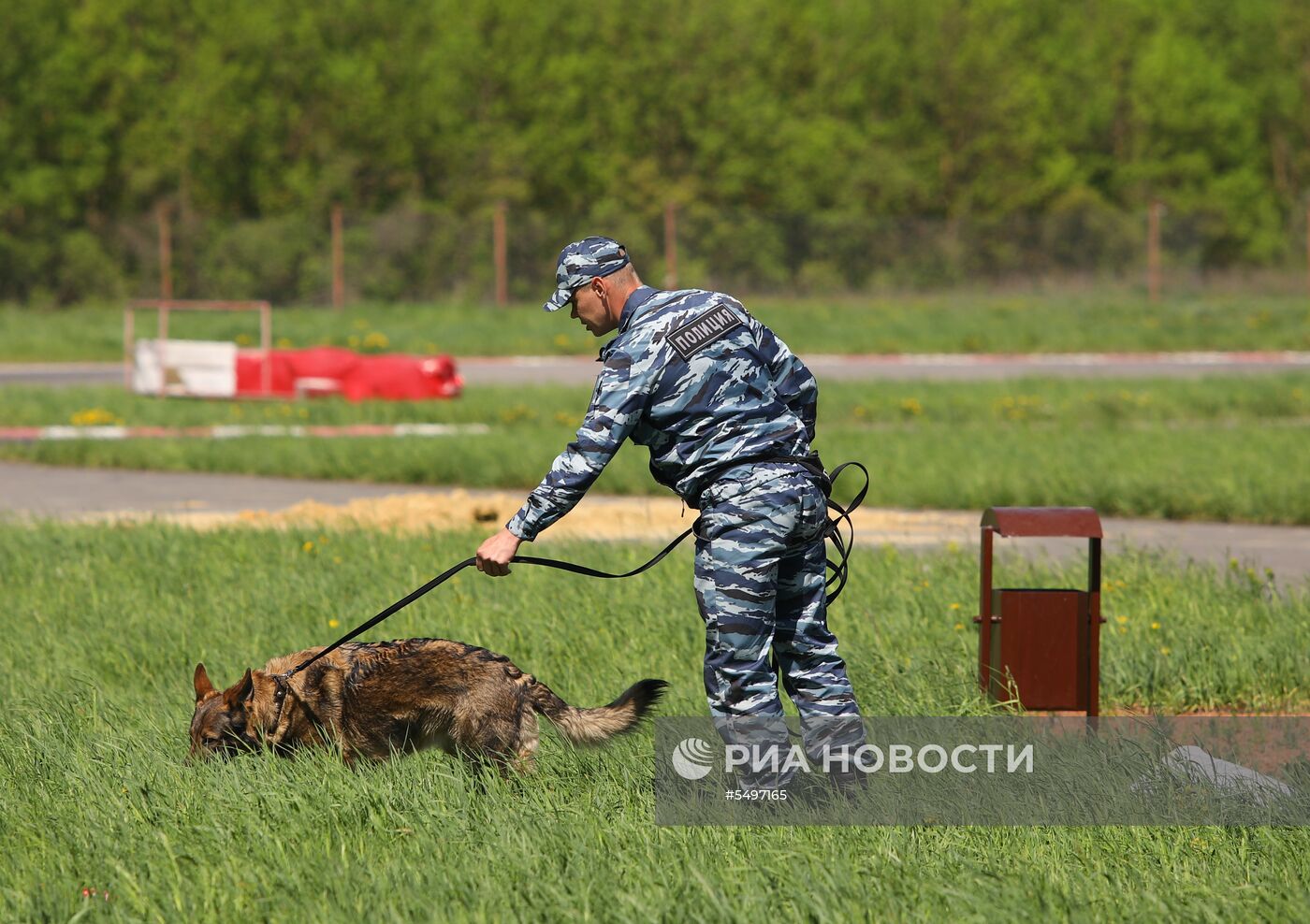 Соревнования кинологов в Белгородской области