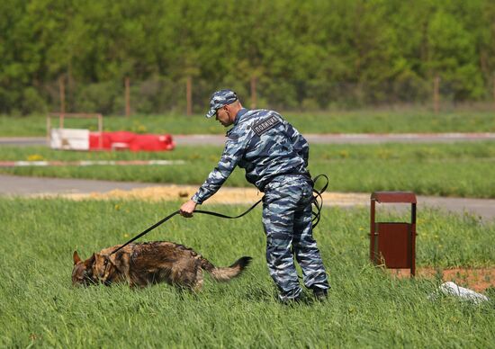 Соревнования кинологов в Белгородской области