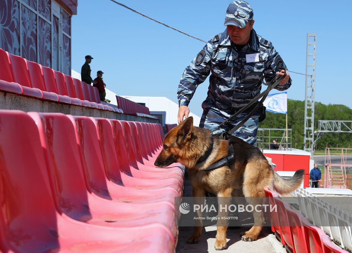 Соревнования кинологов в Белгородской области