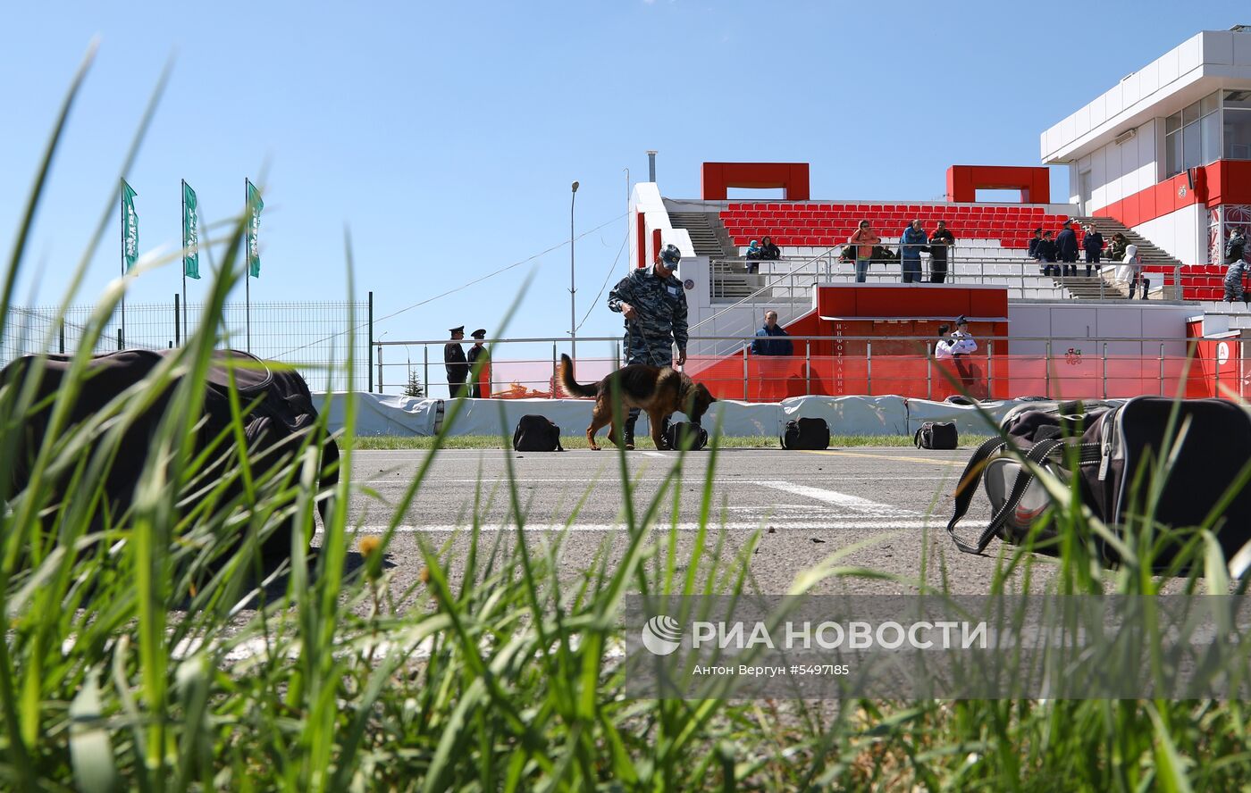 Соревнования кинологов в Белгородской области