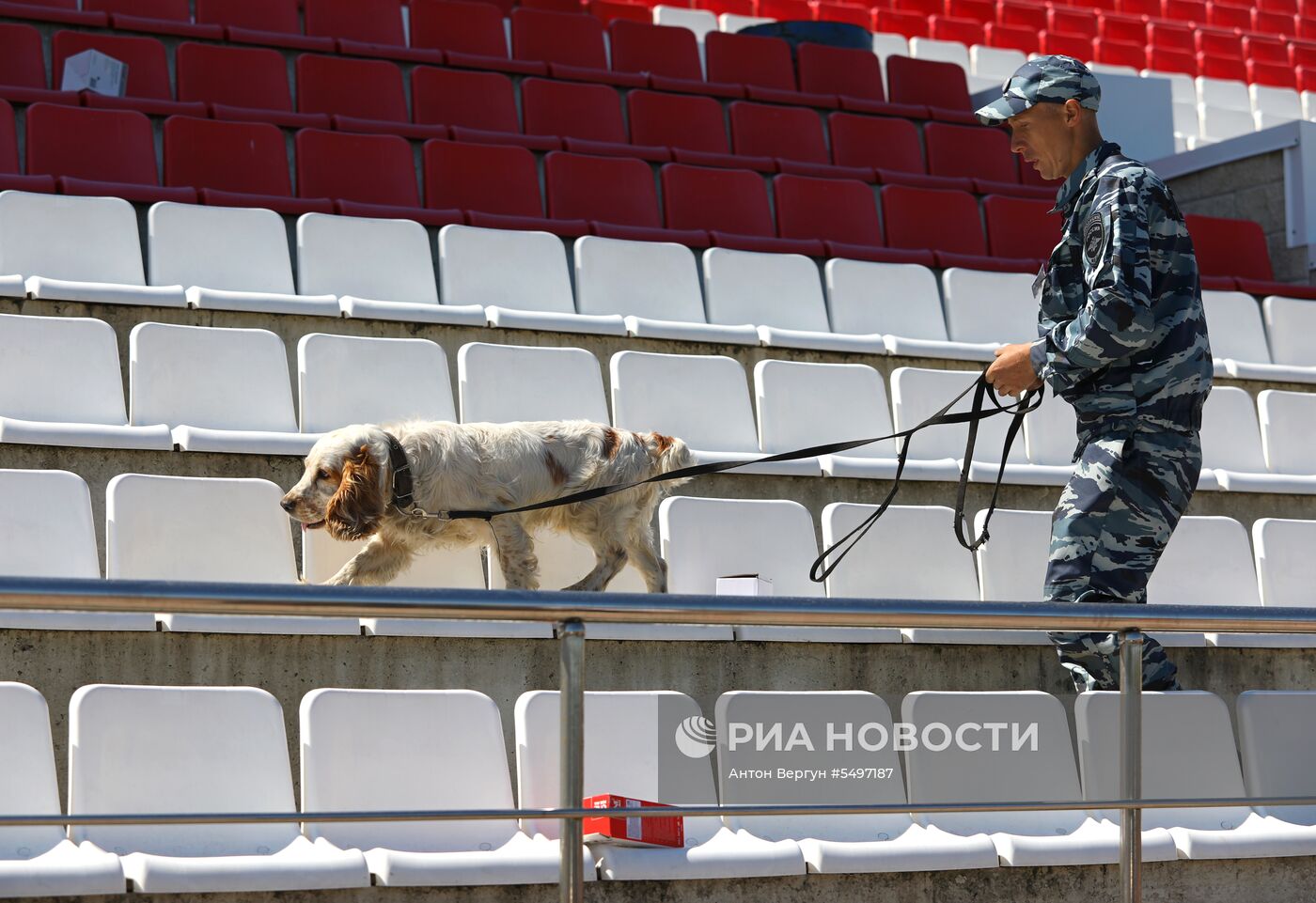 Соревнования кинологов в Белгородской области