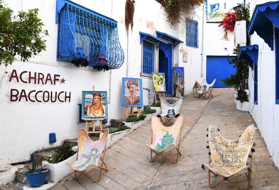 Страны мира. Тунис