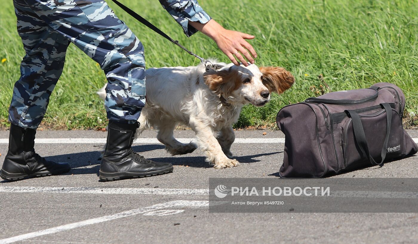 Соревнования кинологов в Белгородской области