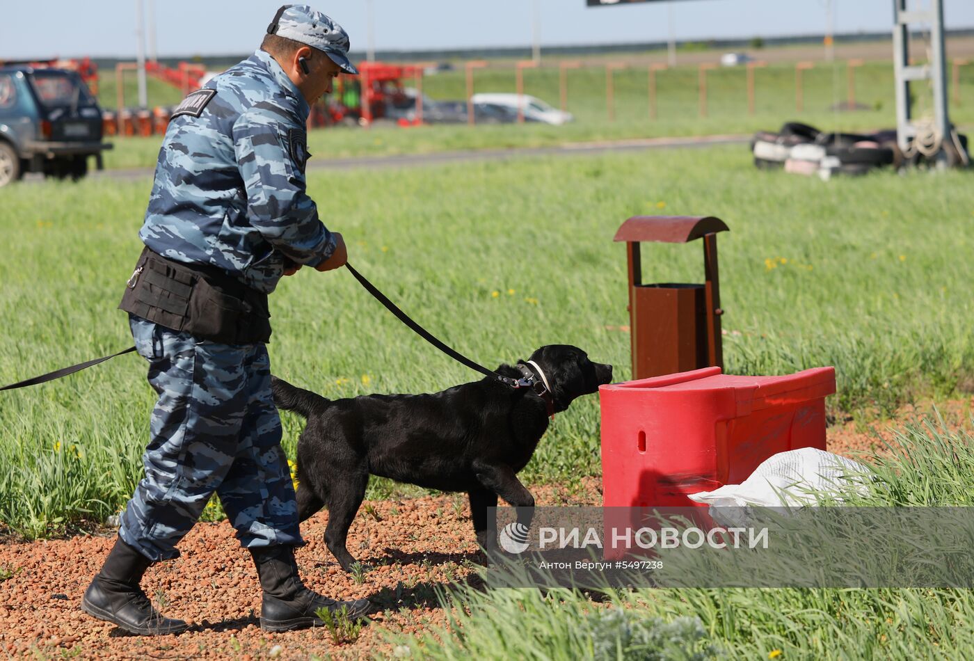 Соревнования кинологов в Белгородской области