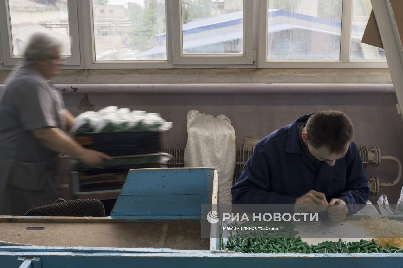 "Город слепых Русиново" в Калужской области