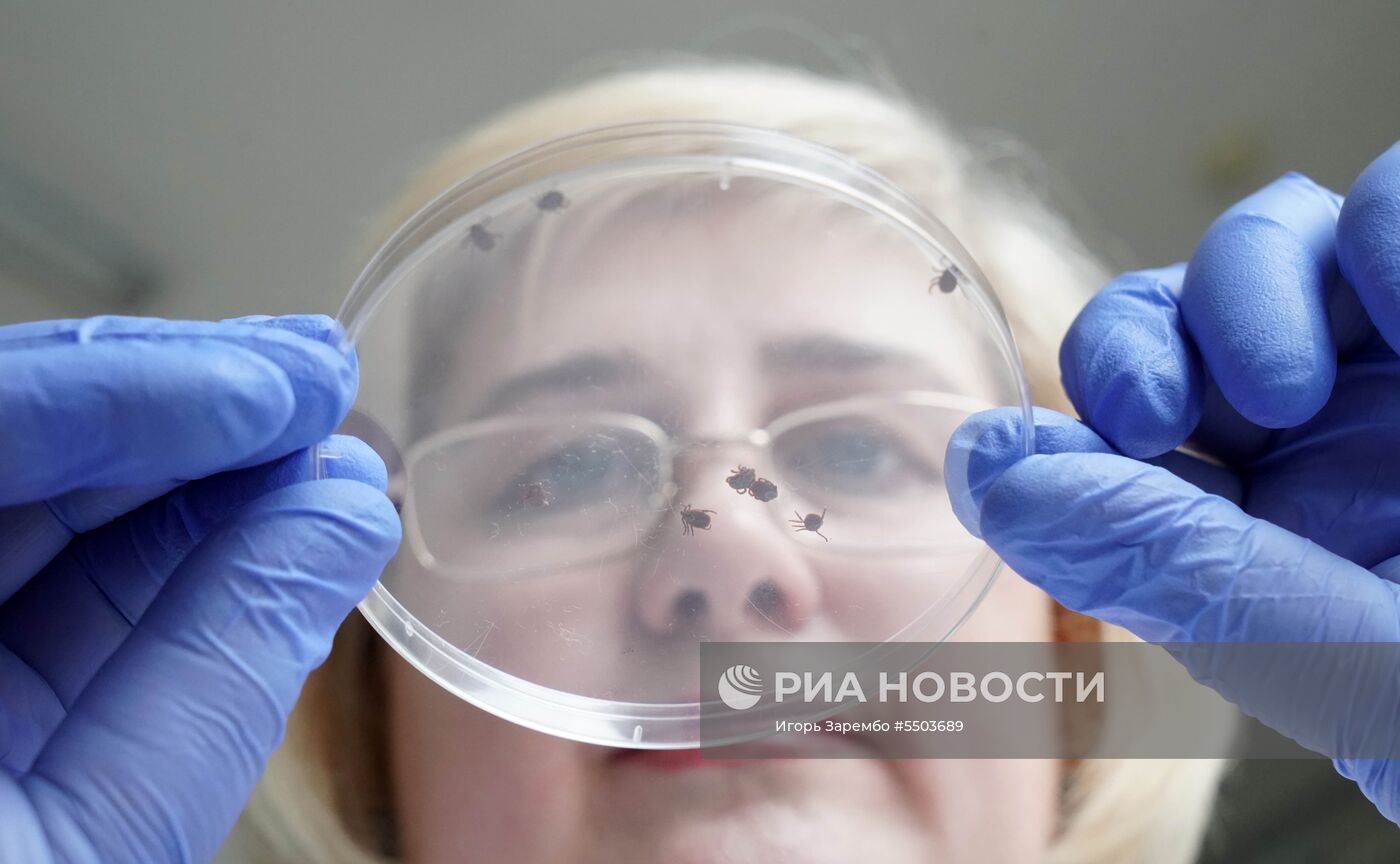Лаборатория особо опасных и природно-очаговых инфекций в Калининграде