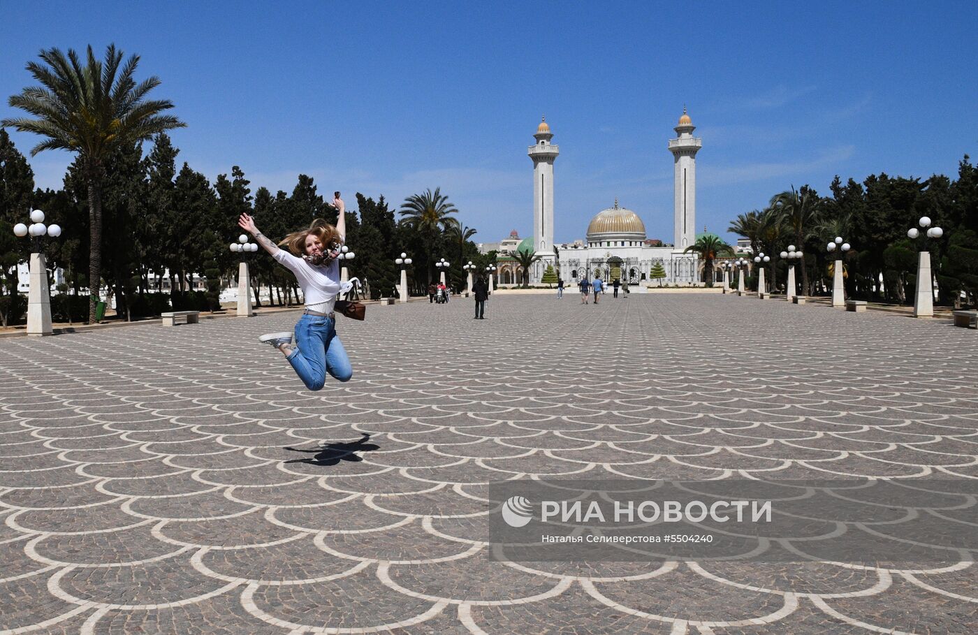 Страны мира. Тунис