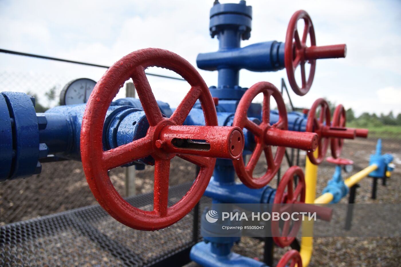 Открытие горного газового месторождения во Львовской области 
