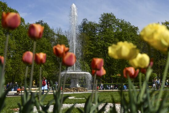 Весенний праздник фонтанов в Санкт-Петербурге