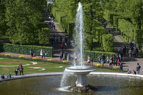 Весенний праздник фонтанов в Санкт-Петербурге