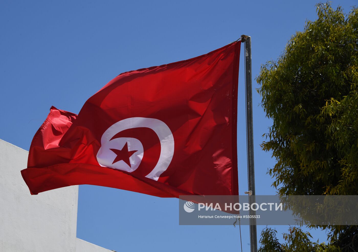 Страны мира. Тунис