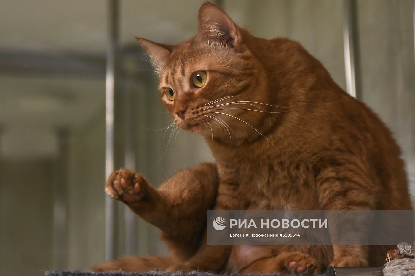 Акция "Ночь музеев" в Москве 