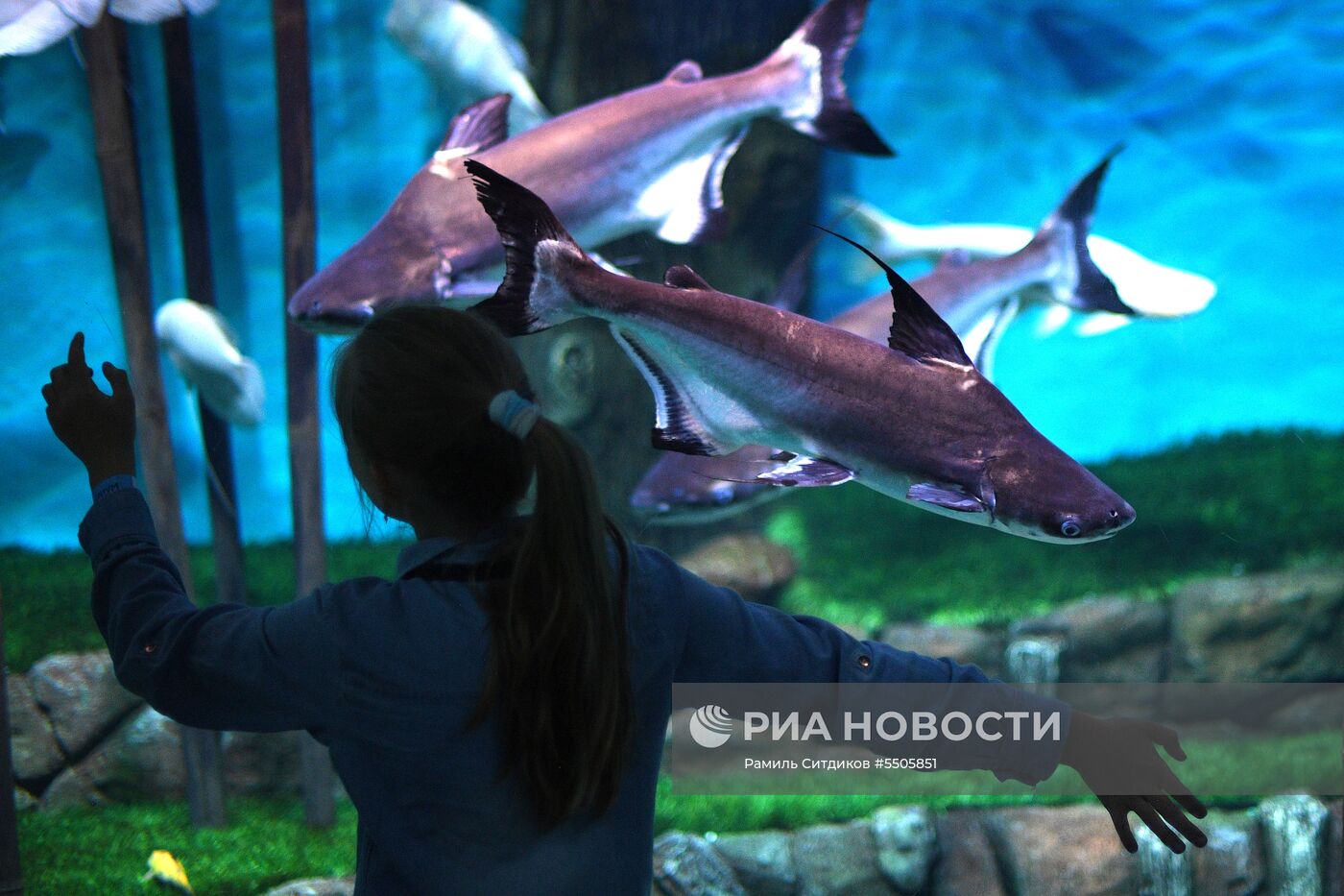 Акция "Ночь музеев" в Москве 