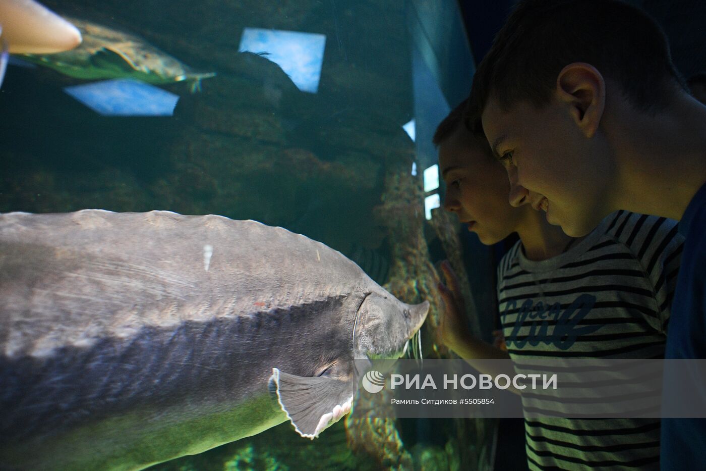 Акция "Ночь музеев" в Москве 