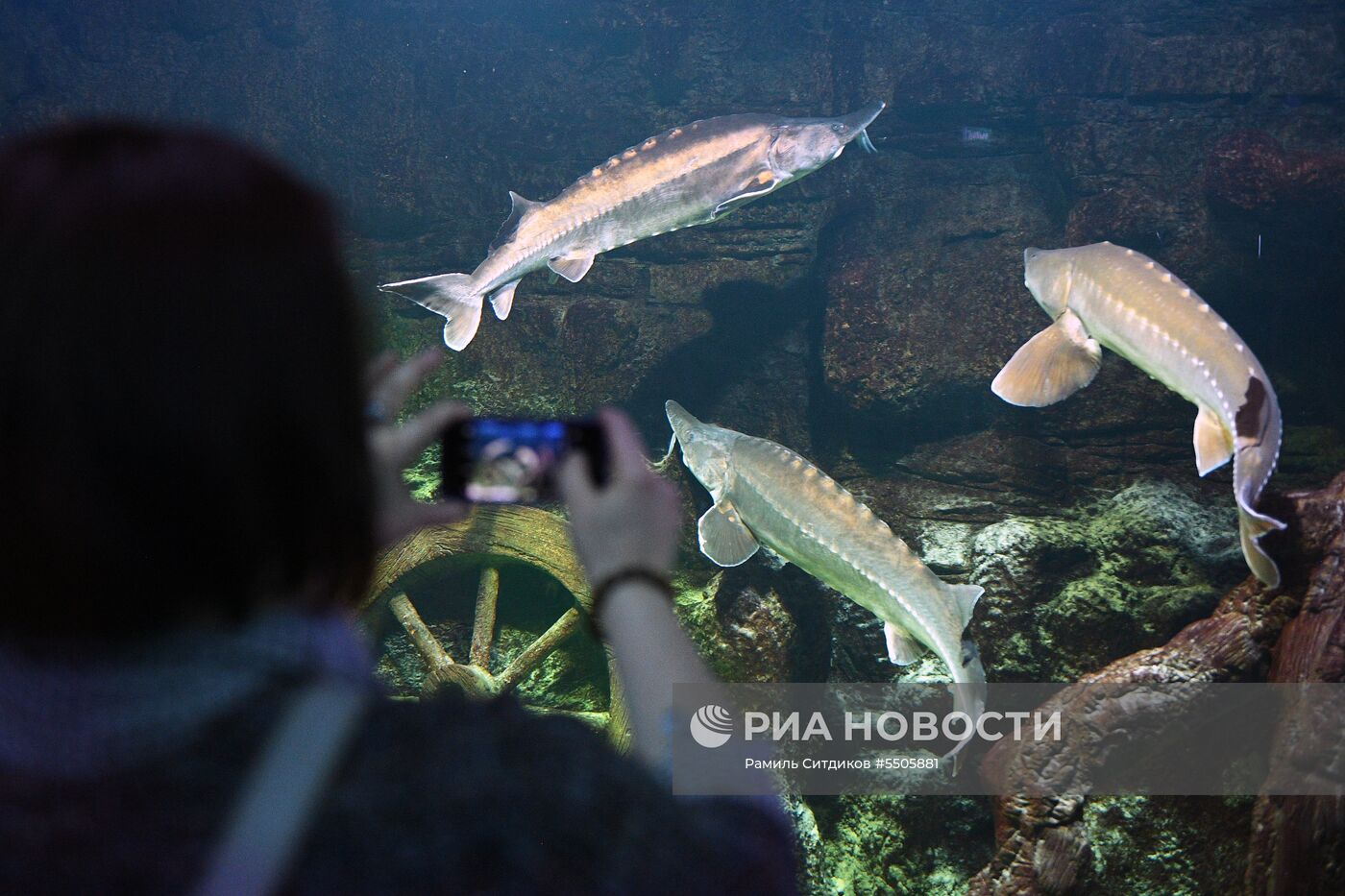 Акция "Ночь музеев" в Москве 