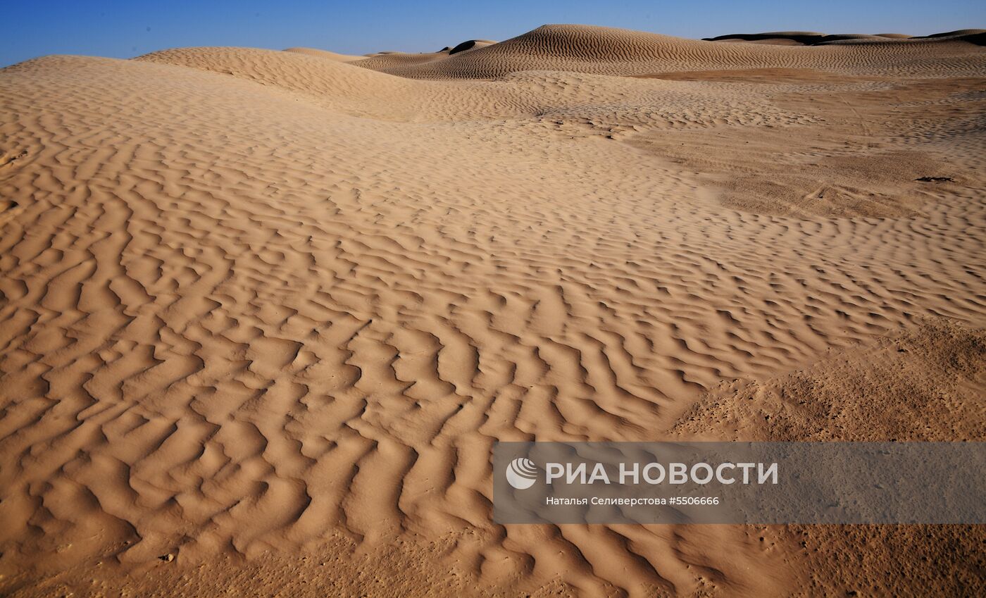 Страны мира. Тунис