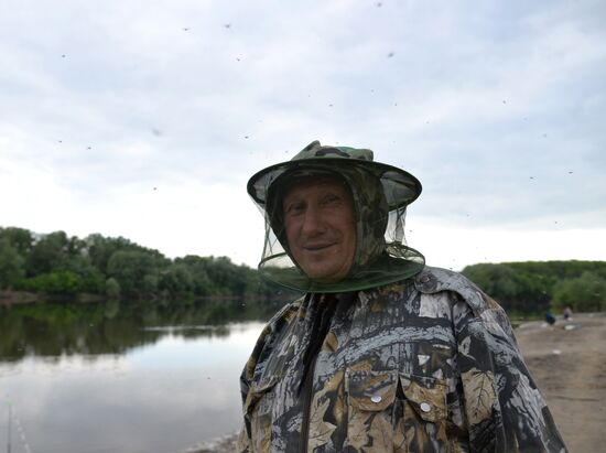 Нашествие комаров в Воронежской области