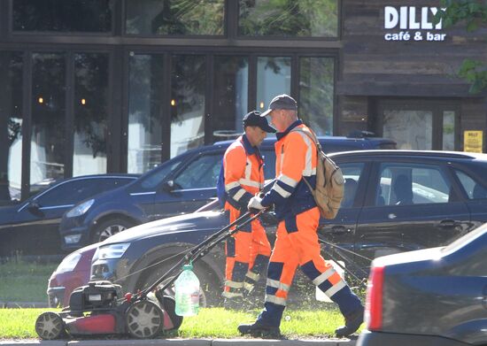 Стрижка газона в Москве