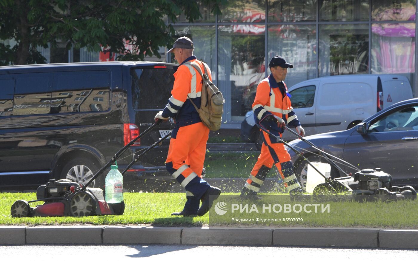 Стрижка газона в Москве
