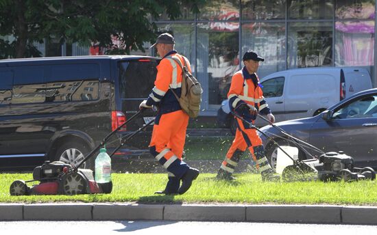 Стрижка газона в Москве