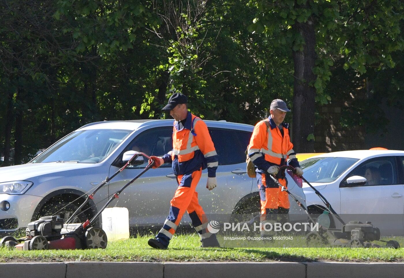 Стрижка газона в Москве.