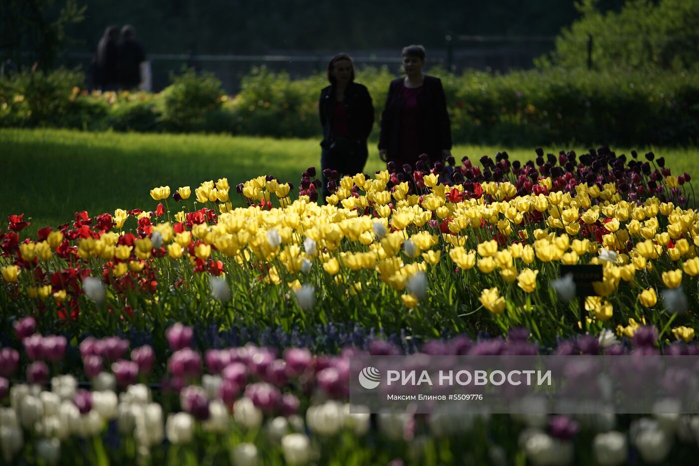 Фестиваль тюльпанов в Санкт-Петербурге