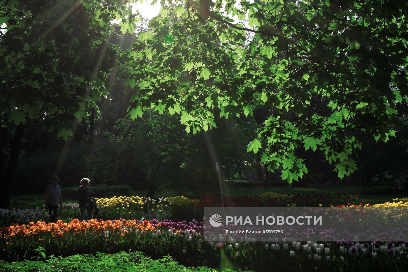 Фестиваль тюльпанов в Санкт-Петербурге