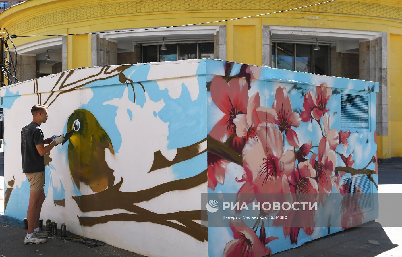 Граффити на трансформаторных подстанциях в Москве 