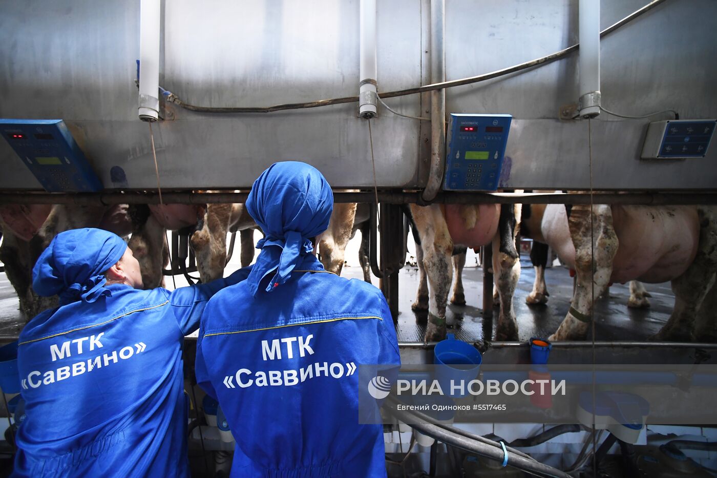 Запуск нового молочного бренда «Семейное дело» от братьев Чебурашкиных