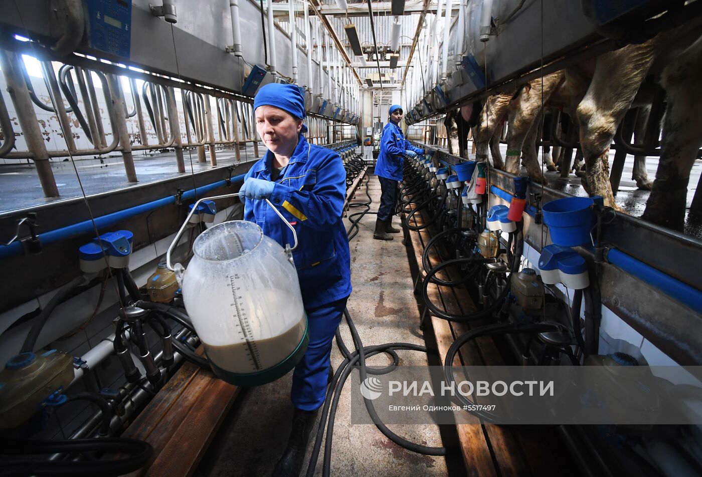 Запуск нового молочного бренда «Семейное дело» от братьев Чебурашкиных