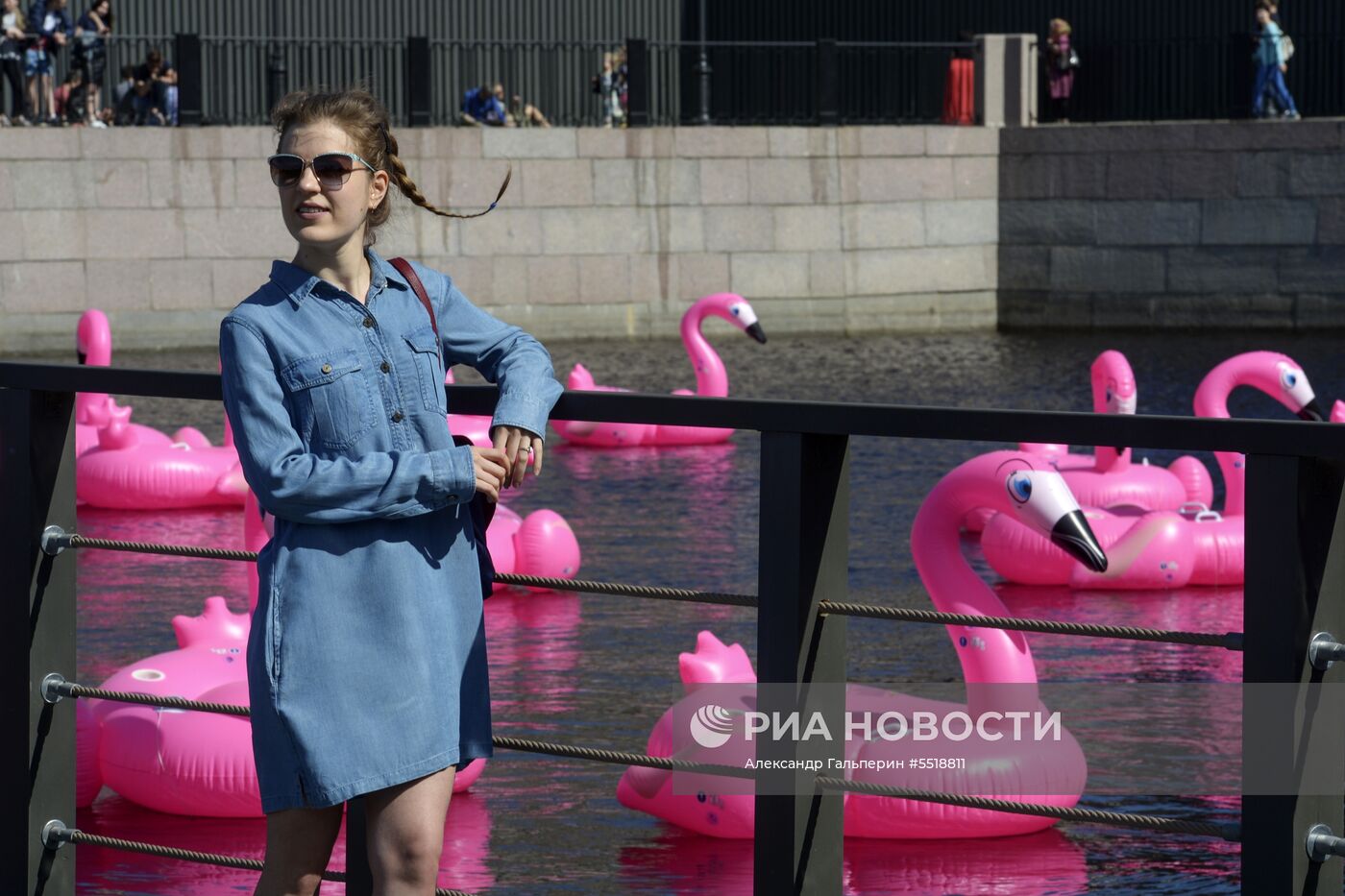 Пляж с розовыми фламинго открылся в Новой Голландии в Санкт-Петербурге