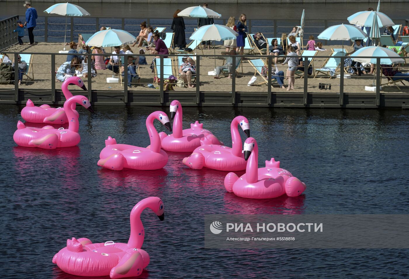 Пляж с розовыми фламинго открылся в Новой Голландии в Санкт-Петербурге