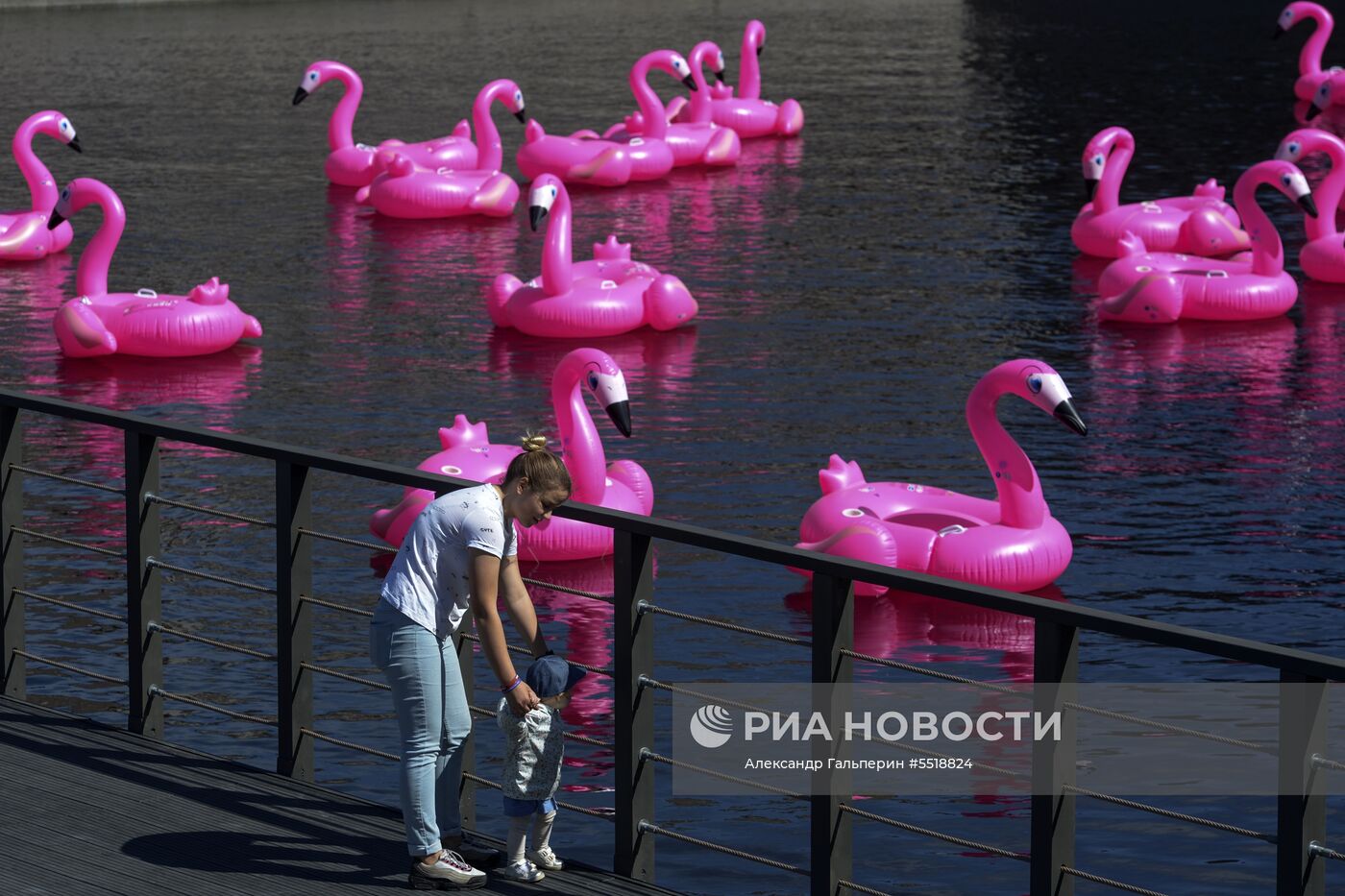 Пляж с розовыми фламинго открылся в Новой Голландии в Санкт-Петербурге