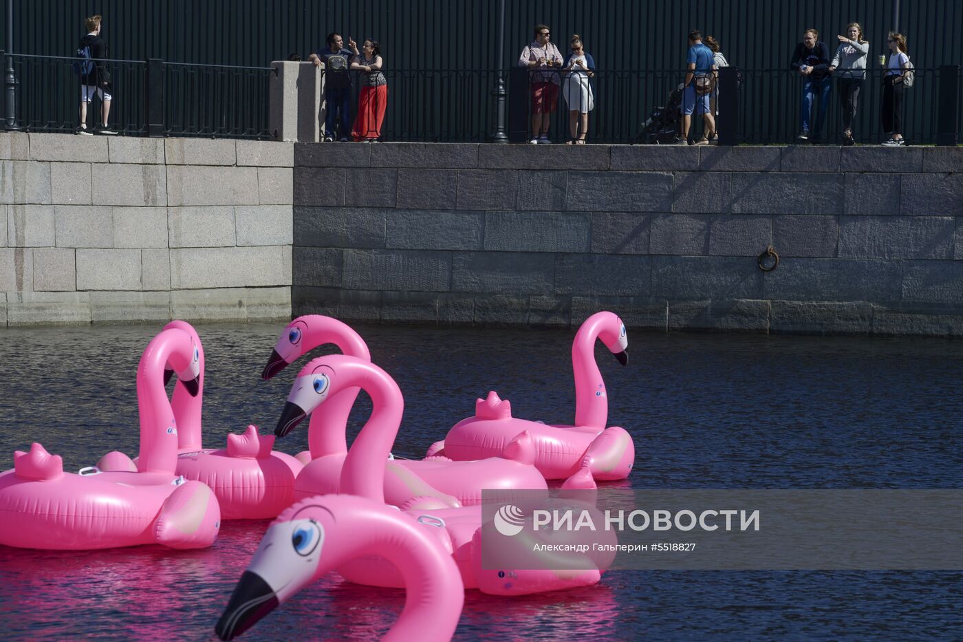 Пляж с розовыми фламинго открылся в Новой Голландии в Санкт-Петербурге