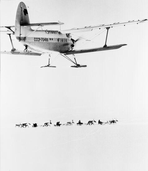 Гонки на оленьих упряжках
