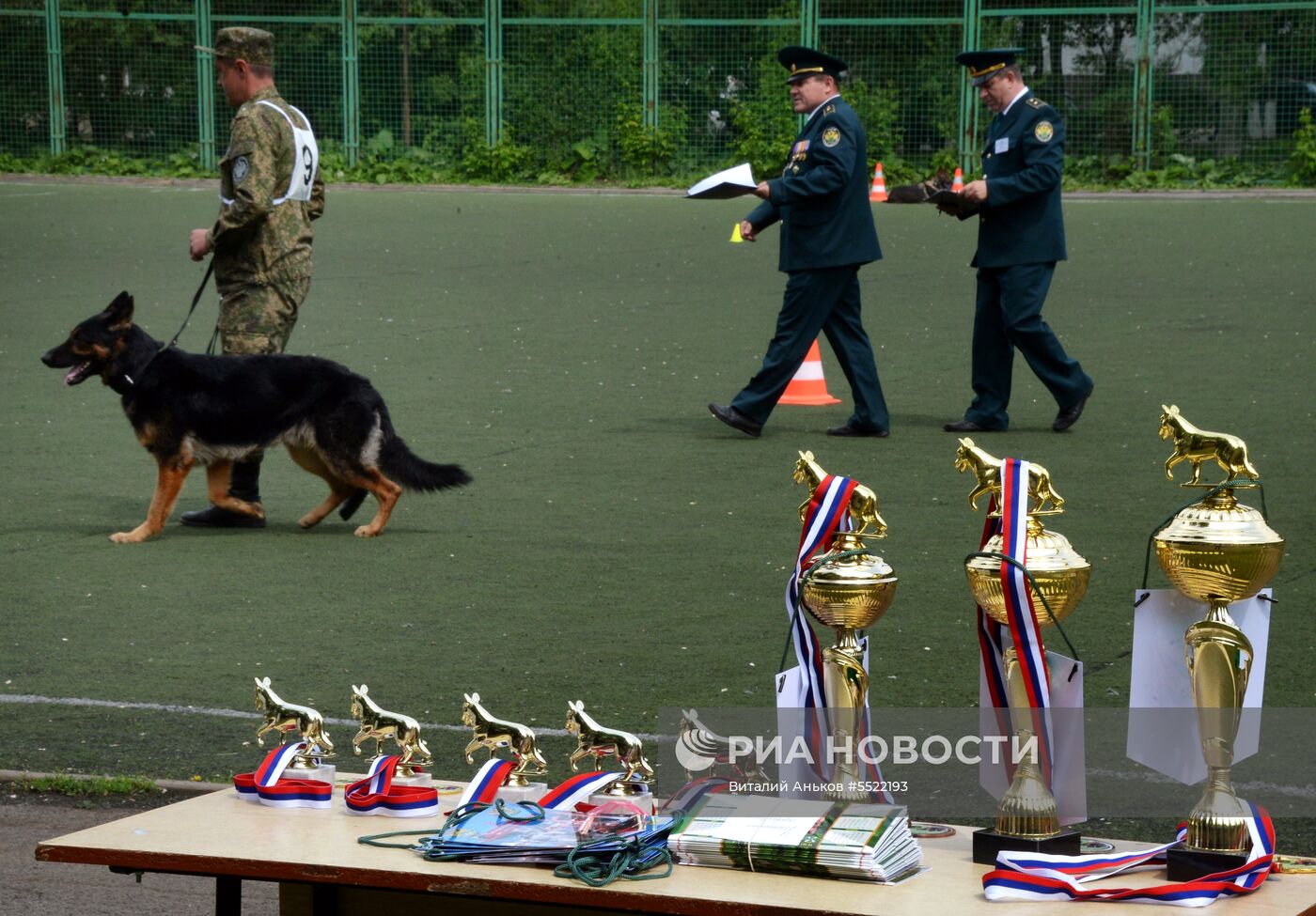 Соревнования кинологов во Владивостоке