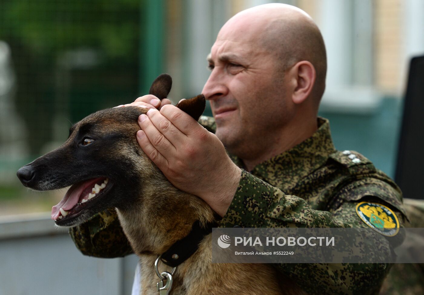 Соревнования кинологов во Владивостоке