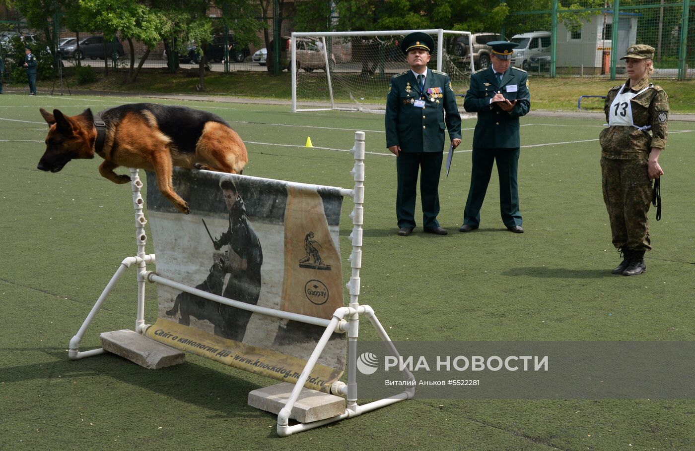 Соревнования кинологов во Владивостоке