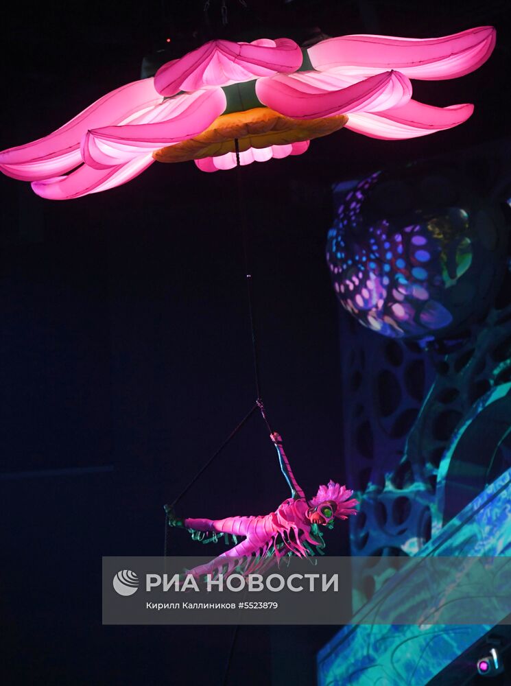 Премьера мюзикла «Сон в летнюю ночь» в Москвариуме