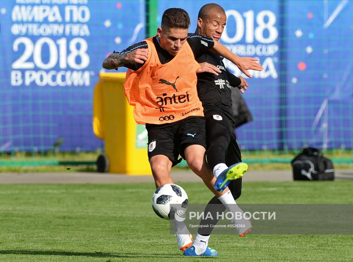 Футбол. ЧМ-2018. Тренировка сборной Уругвая