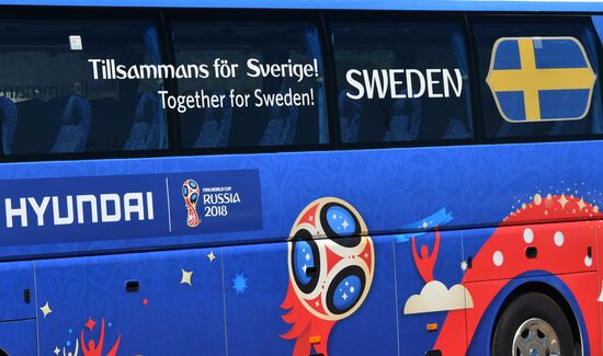 Футбол. ЧМ-2018. Прилет сборной Швеции 