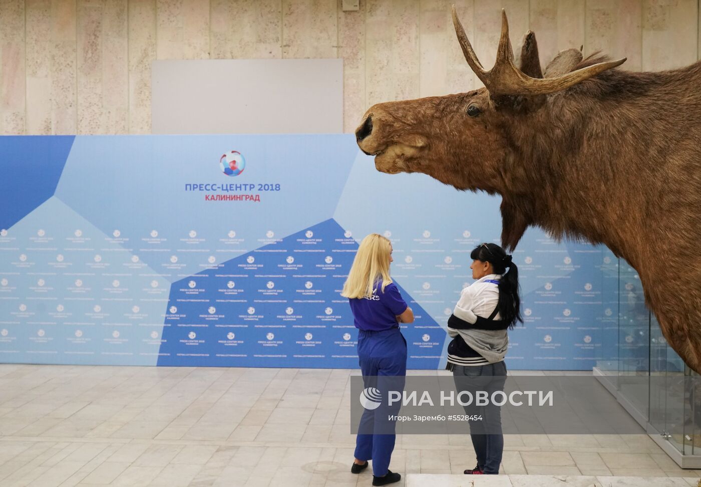 Открытие городских пресс-центров ЧМ